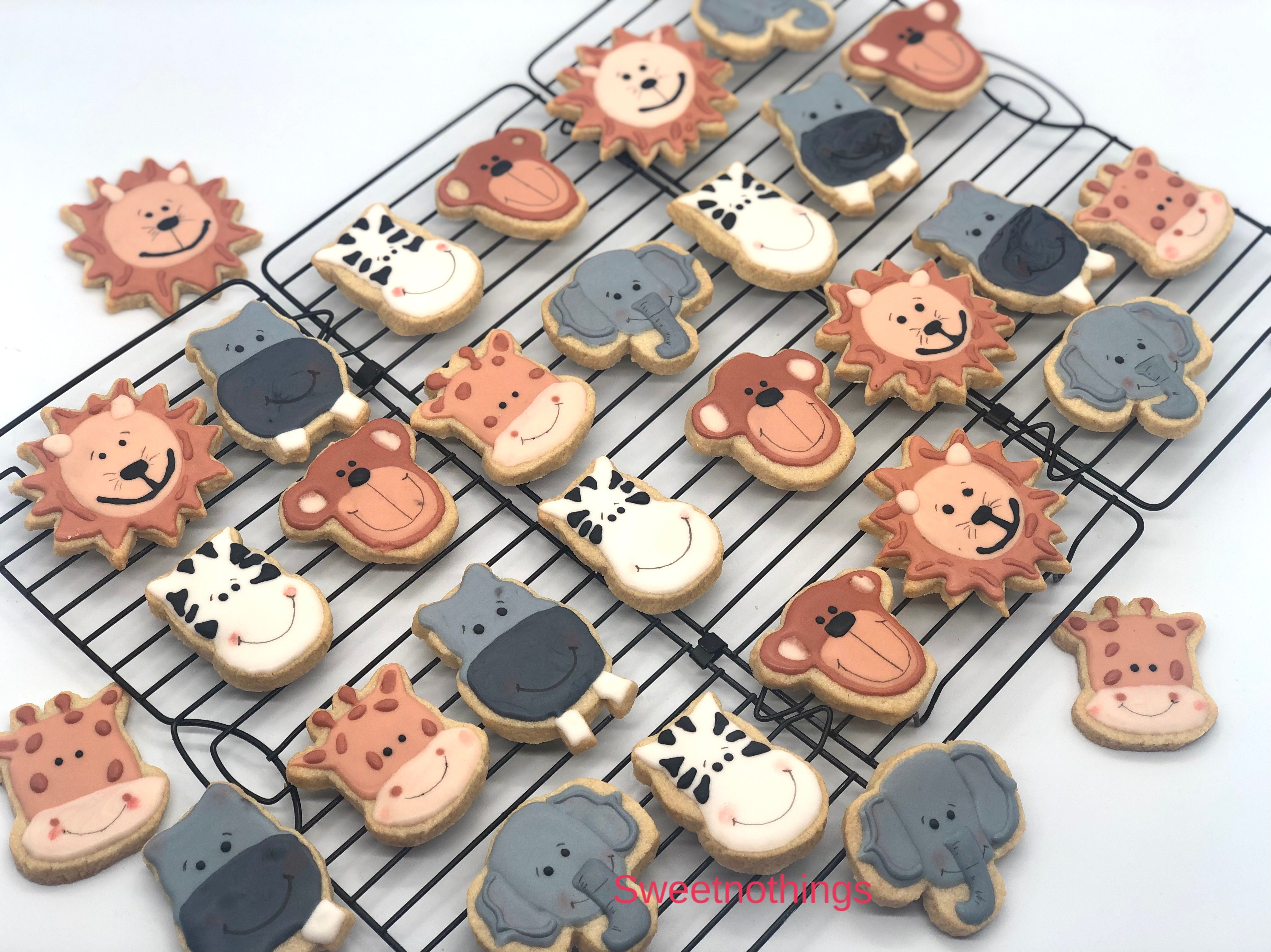 Wild Animals / Jungle themed Biscuits