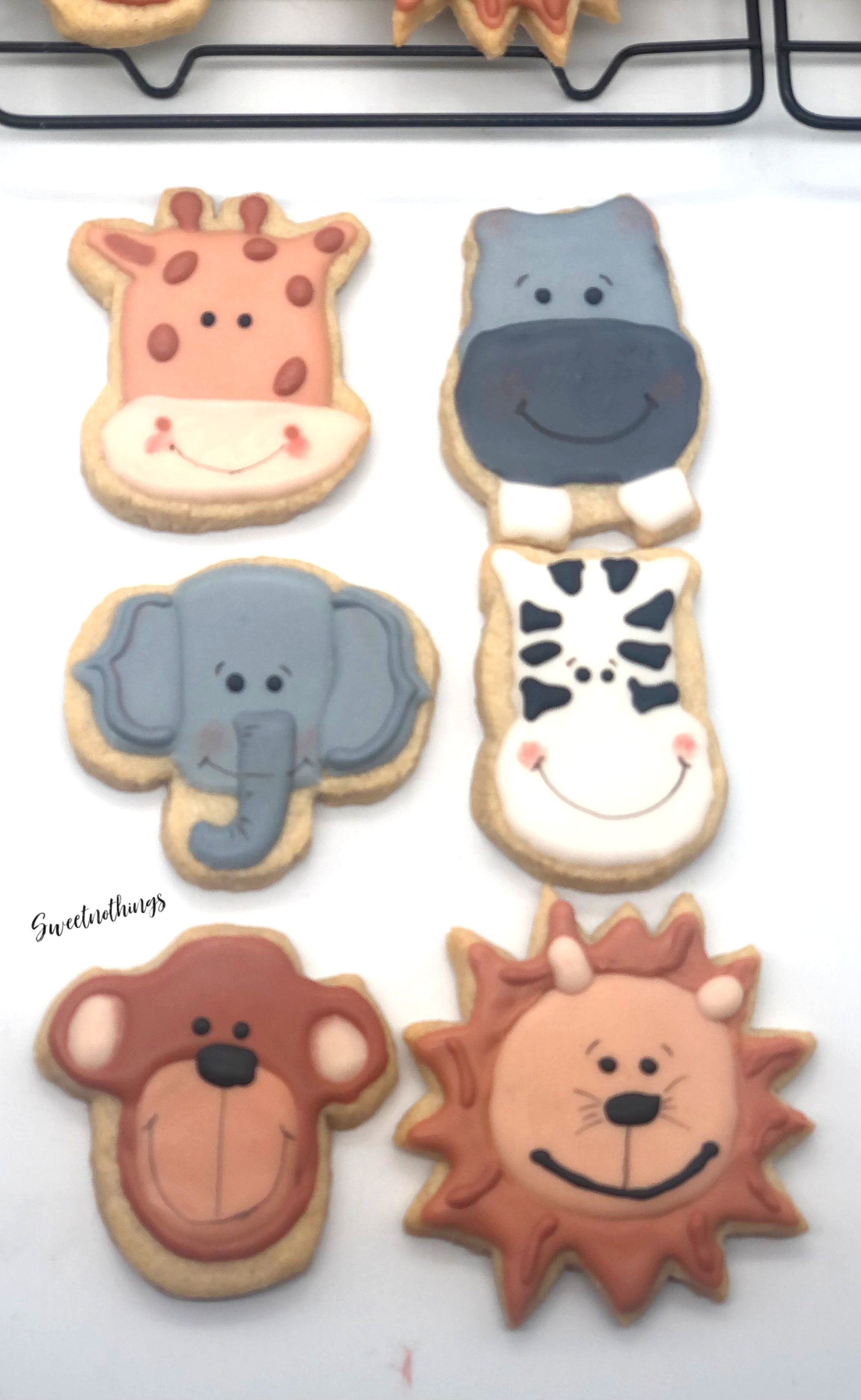 Wild Animals / Jungle themed Biscuits